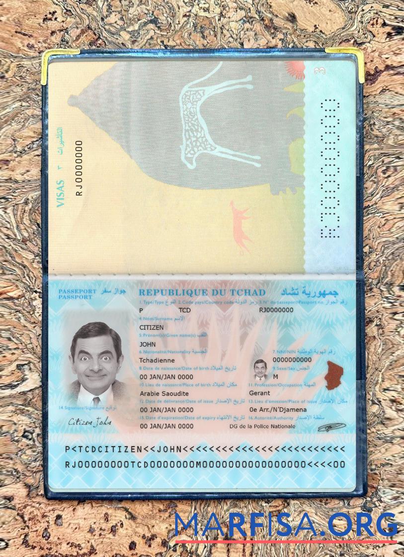 Realistic Du Tchad passport new 2021 present photolook sample